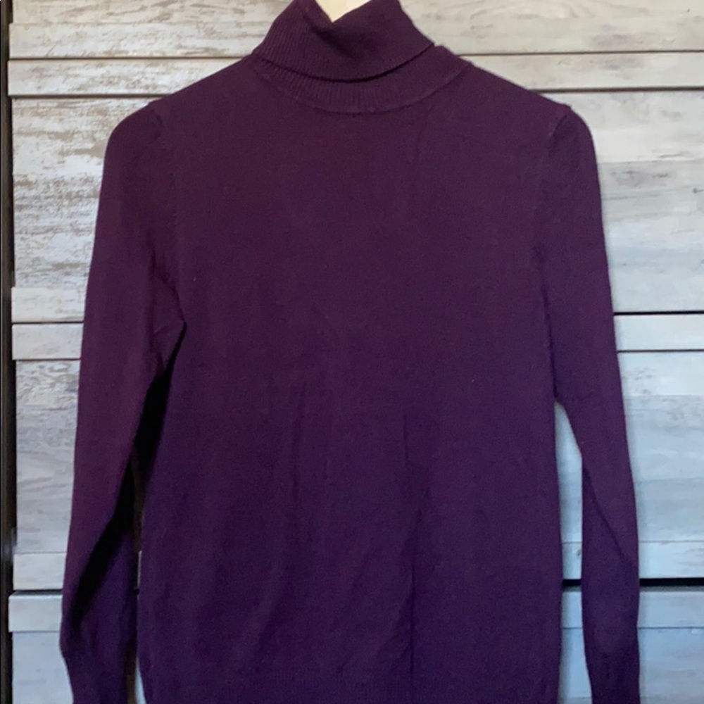 Context at Lord and Taylor Turtleneck Sweater